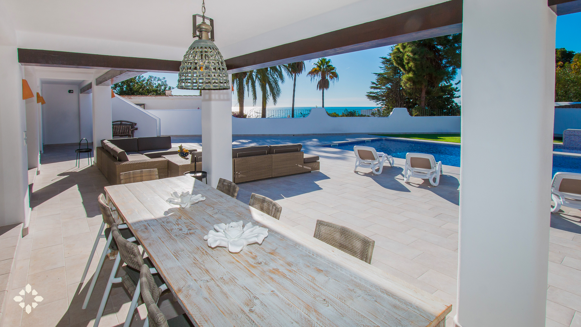 Imagen 4 - PALMERAS