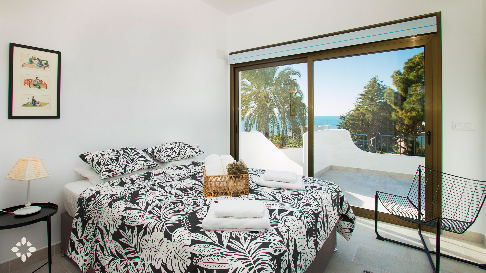 Imagen 19 - PALMERAS
