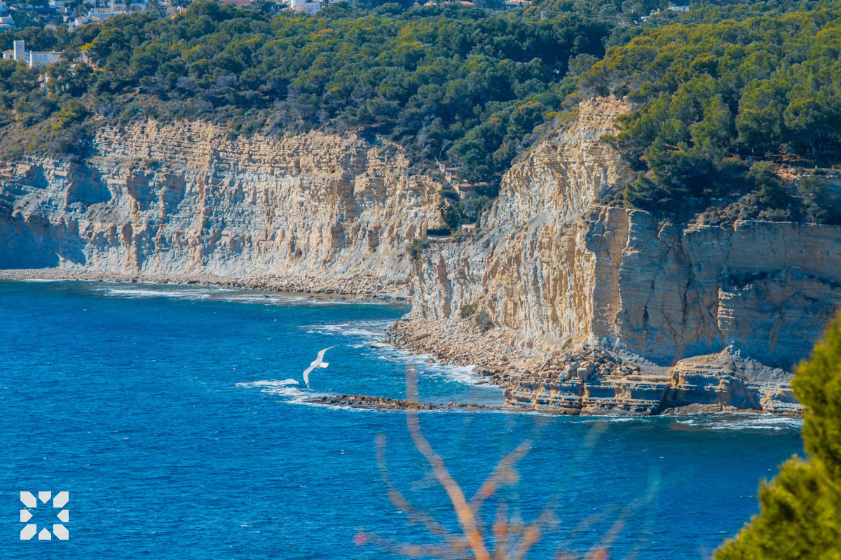 Imagen 28 - BLUE SEA
