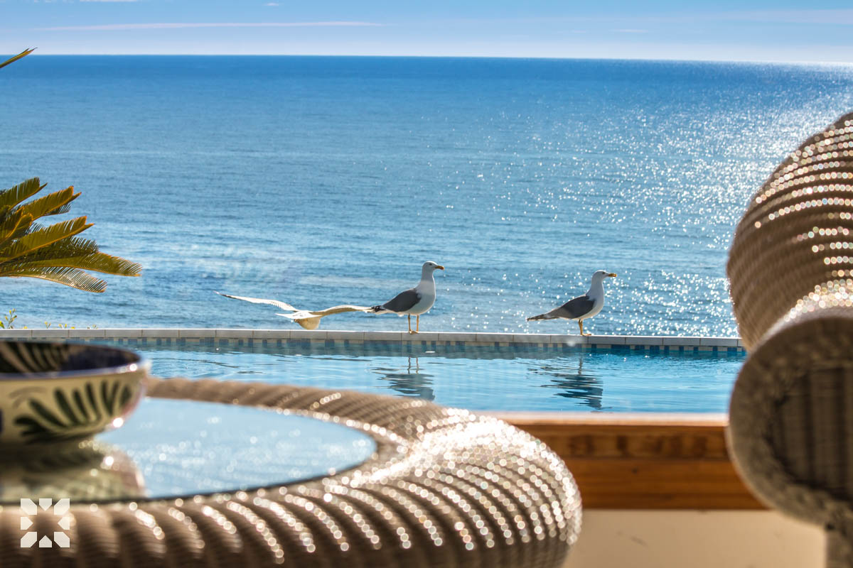 Imagen 22 - GAVIOTA