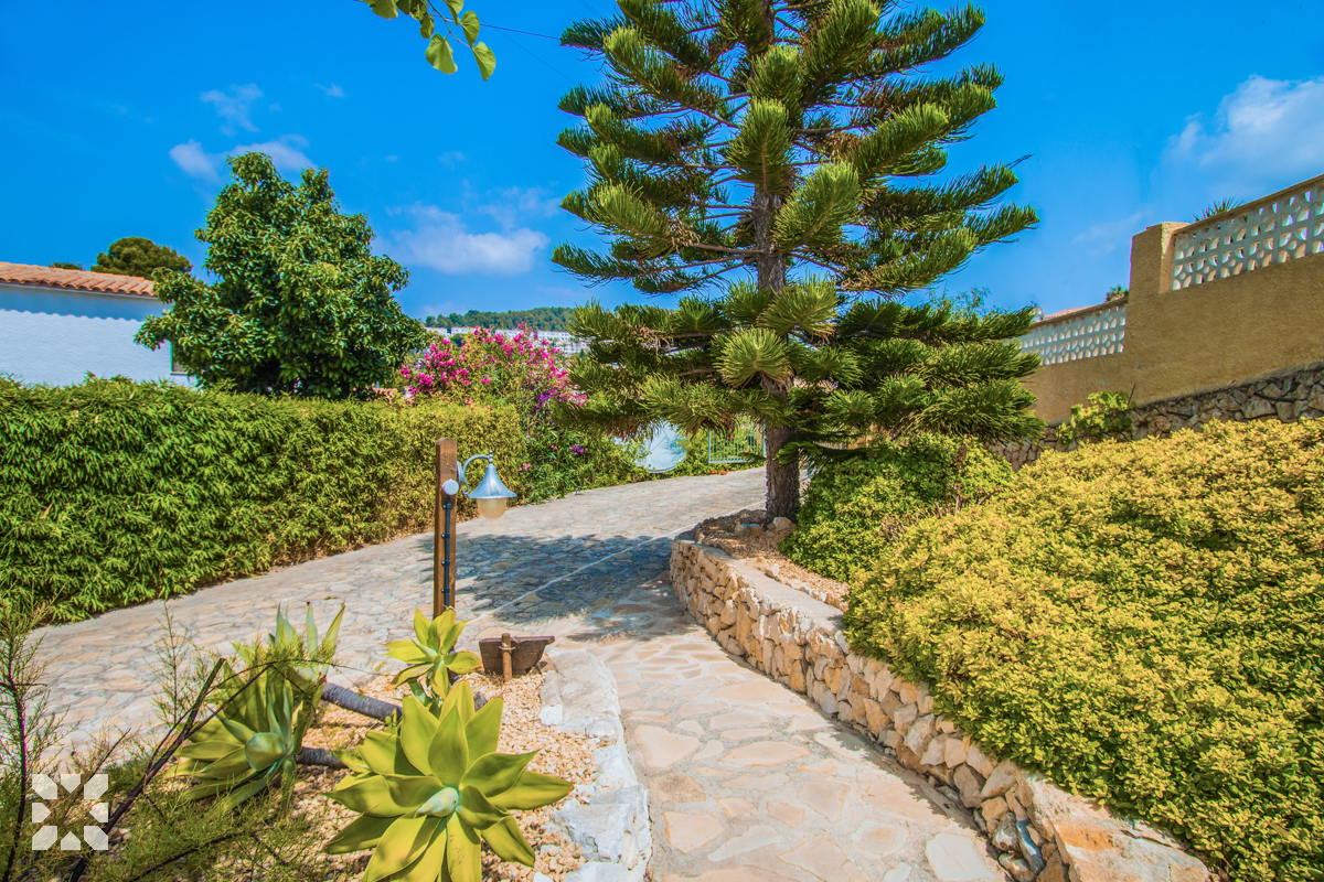 Imagen 20 - PARADISE