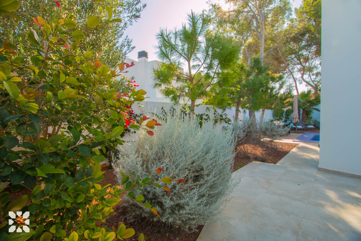 Imagen 7 - CASA CAP BLANC