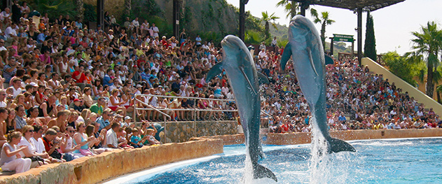 Turismo Benidorm - Parque infantil de Mundomar. Turismo Benidorm - Parque infantil de Mundomar.