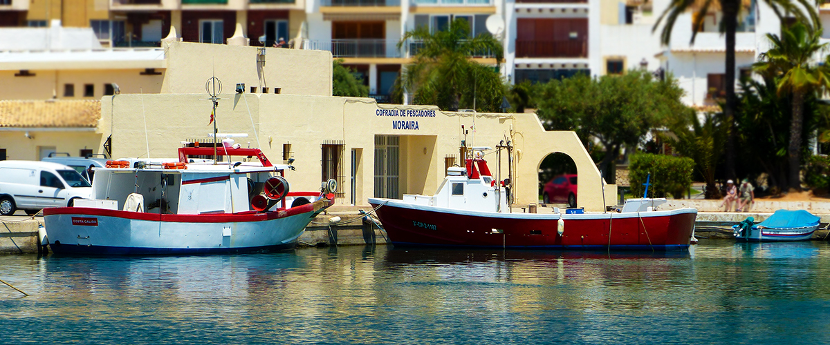 Abahana Villas - Fischerboote auf dem Fischmarkt von Moraira.