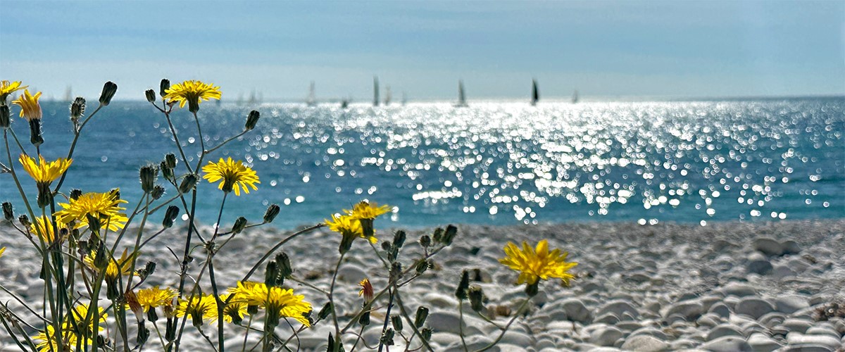 Abahana Villas - Pratique de voile dans la baie d'Altea. Abahana Villas - Pratique de voile dans la baie d'Altea.