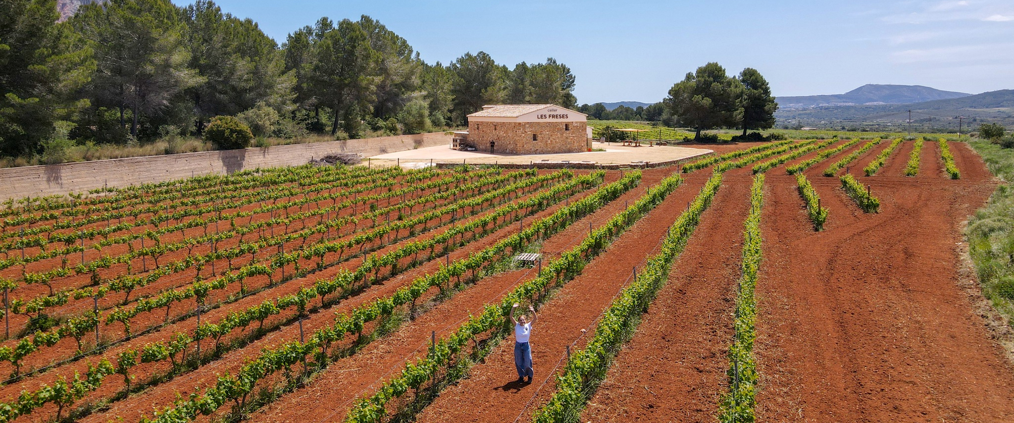 Les Freses - Vista de la bodega y viñedos. Les Freses - Vista de la bodega y viñedos.